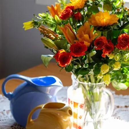 The Mint Cottage With Garden Anchorage Esterno foto