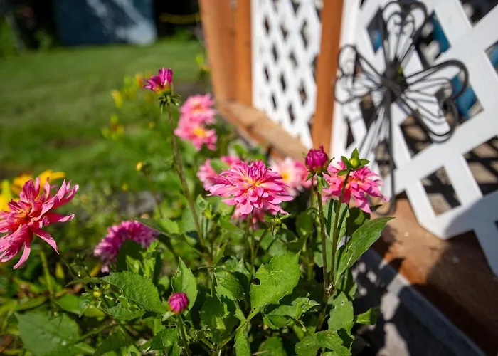 The Mint Cottage With Garden